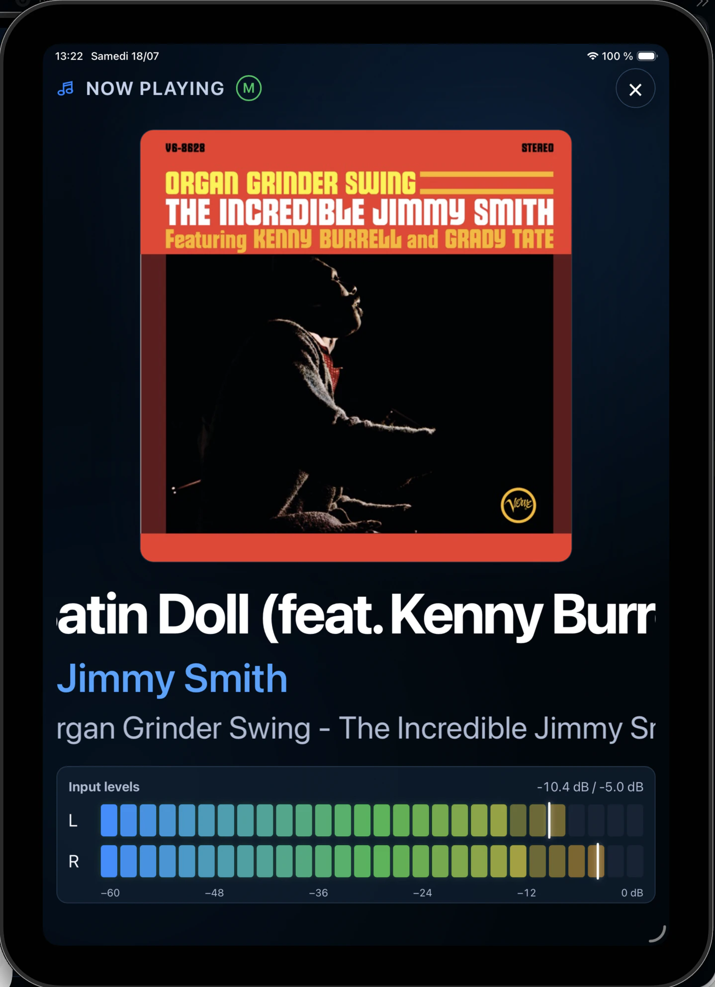 Immersive Now Playing on iPad in portrait